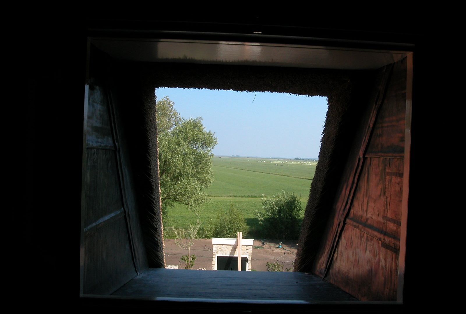 ft367.jpg